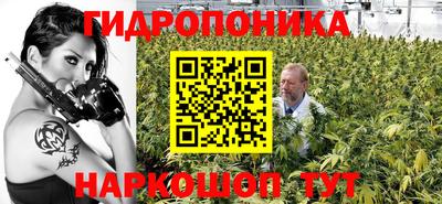 прущие грибы Свободный