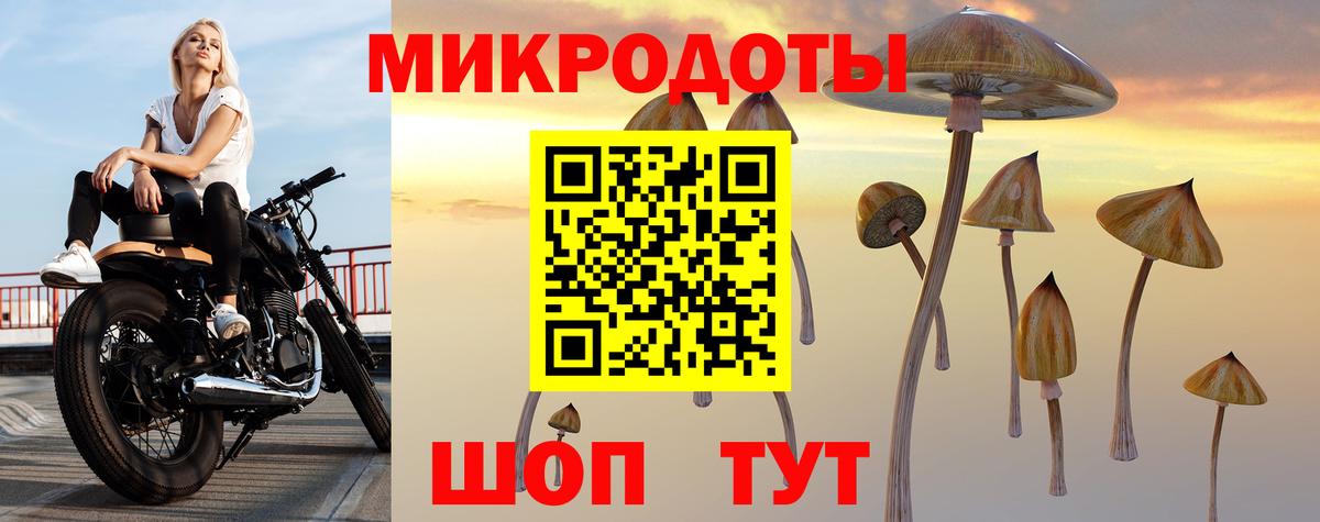 как найти наркотики  Псилоцибиновые грибы Psilocybine cubensis  Новозыбков  Вход с VPN  Псилоцибиновые грибы мухоморы 